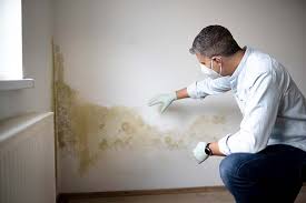 Best Water Damage & Mold Remediation  in USA